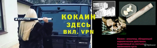apvp Алзамай